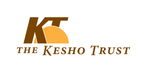KT logo 2007 standard transparent